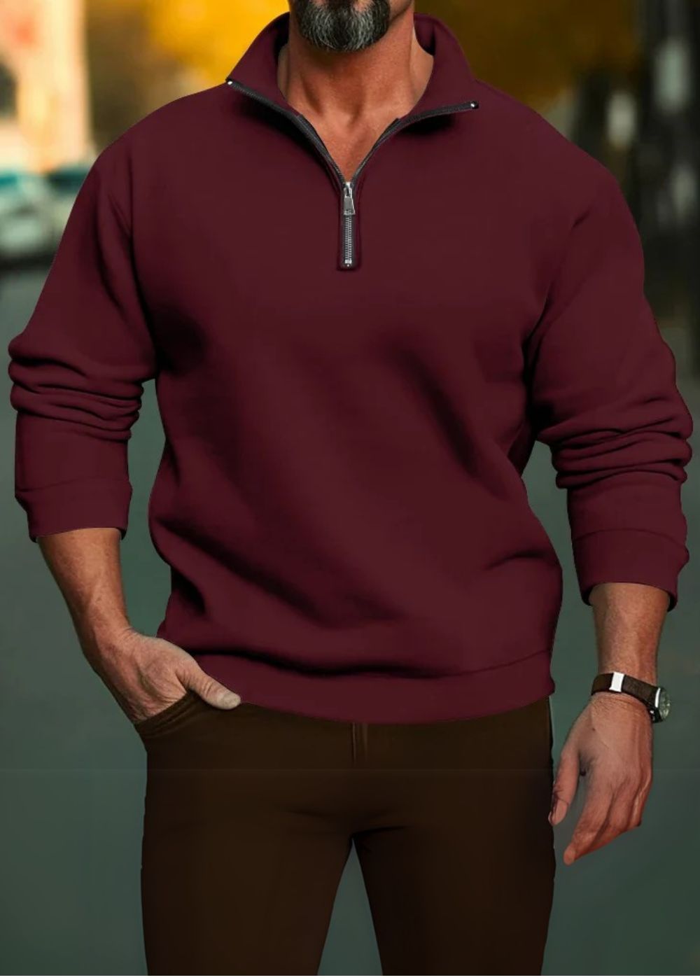 Adrien | Pull à Zip Pour Homme